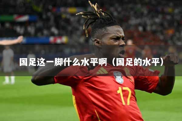 国足这一脚什么水平啊（国足的水平）