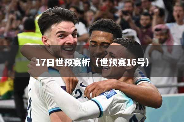 17日世预赛析(世预赛16号)