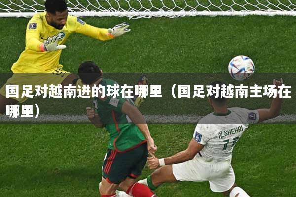 国足对越南进的球在哪里（国足对越南主场在哪里）
