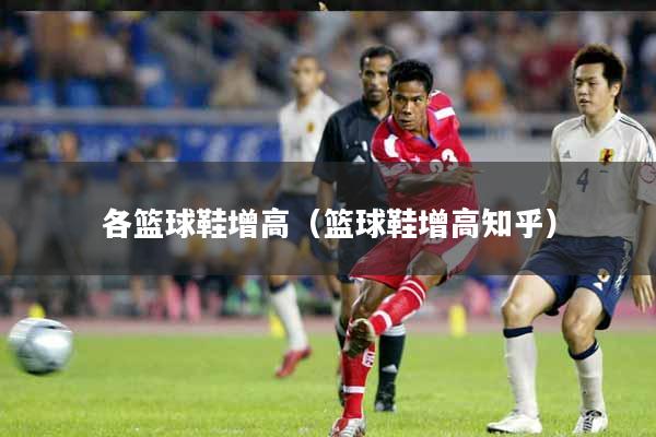 各篮球鞋增高（篮球鞋增高知乎）