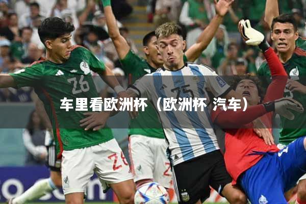 车里看欧洲杯（欧洲杯 汽车）