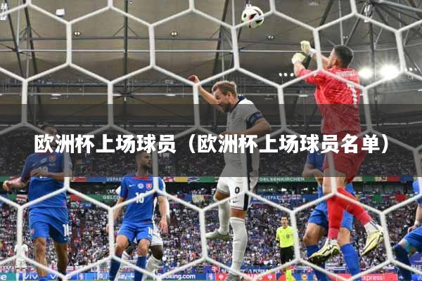 欧洲杯上场球员（欧洲杯上场球员名单）