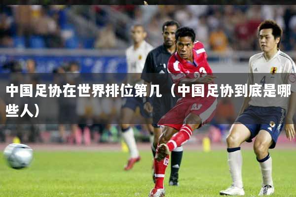 中国足协在世界排位第几(中国足协到底是哪些人)