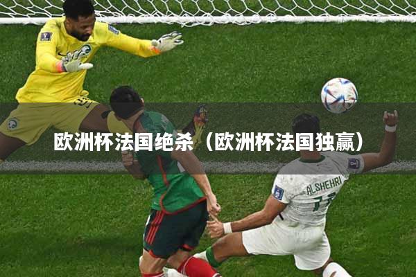 欧洲杯法国绝杀（欧洲杯法国独赢）